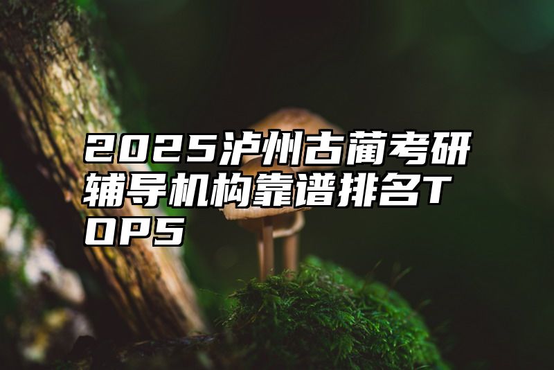 2025泸州古蔺考研辅导机构靠谱排名TOP5​​