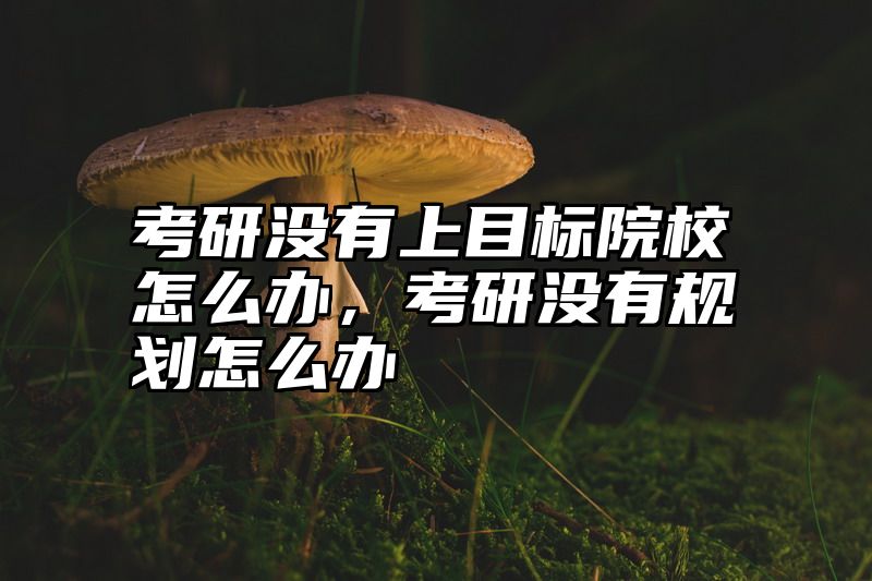 考研没有上目标院校怎么办，考研没有规划怎么办