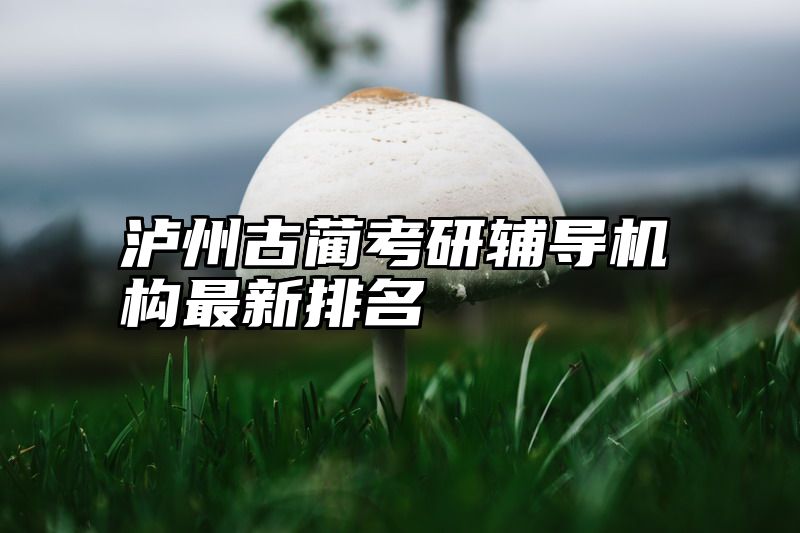 泸州古蔺考研辅导机构最新排名