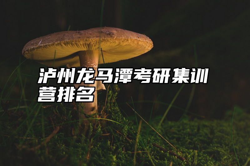 泸州龙马潭考研集训营排名