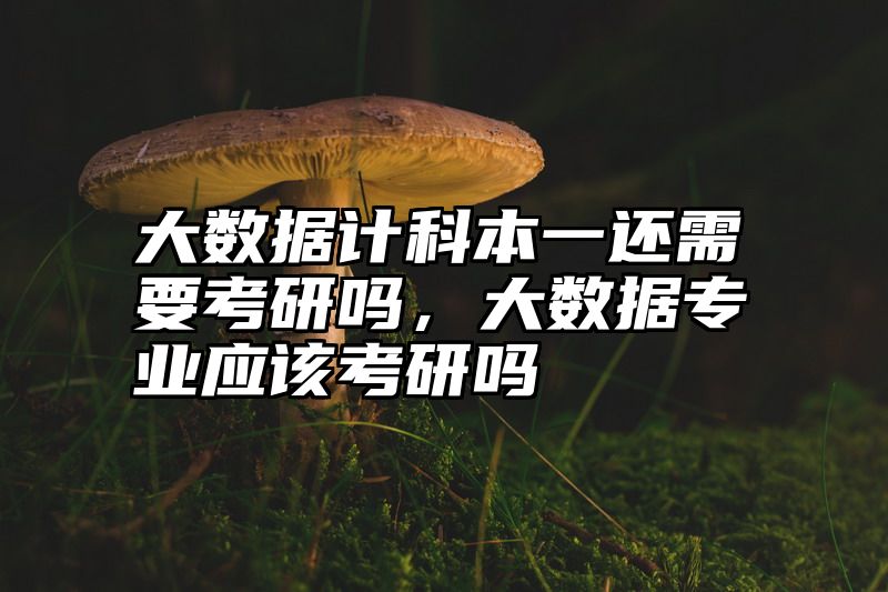 大数据计科本一还需要考研吗，大数据专业应该考研吗
