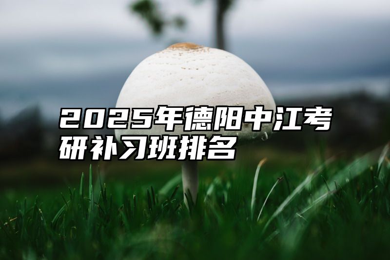 2025年德阳中江考研补习班排名