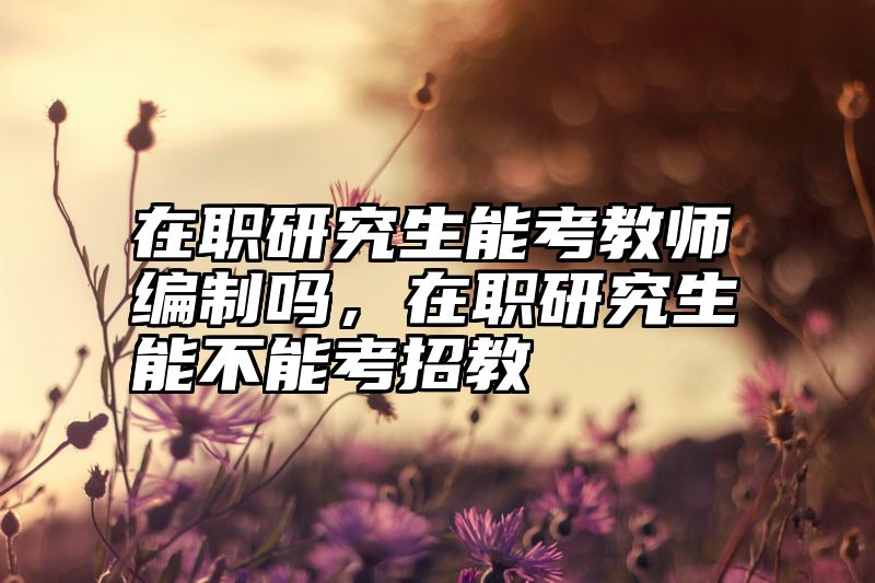 在职研究生能考教师编制吗,在职研究生能不能考招教