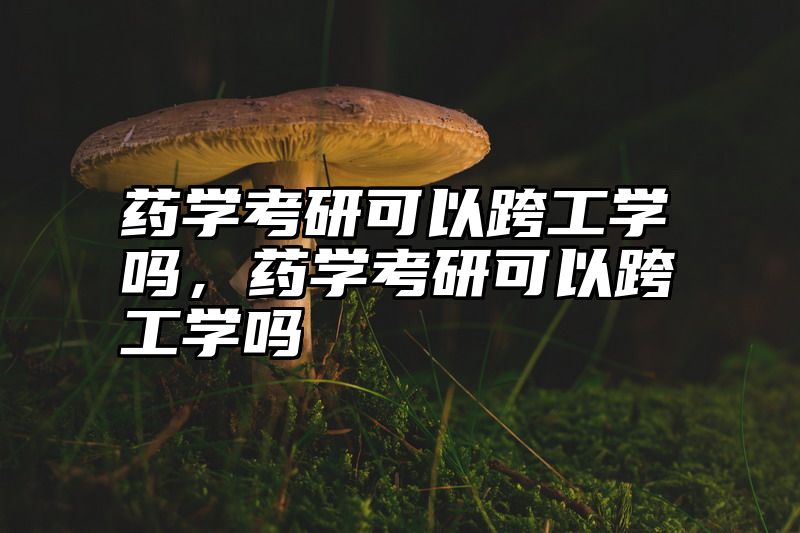 药学考研可以跨工学吗,药学考研可以跨工学吗