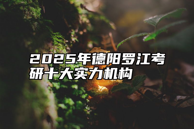 2025年德阳罗江考研十大实力机构