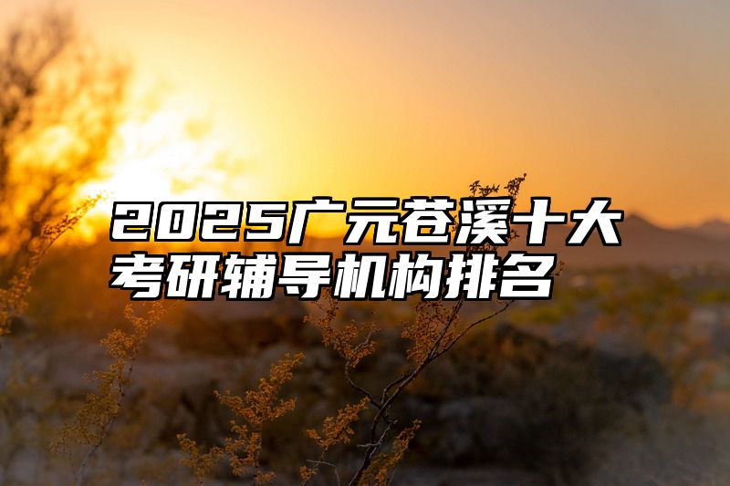 2025广元苍溪十大考研辅导机构排名