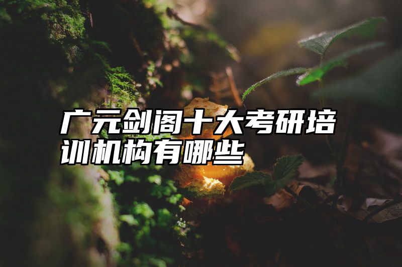 广元剑阁十大考研培训机构有哪些