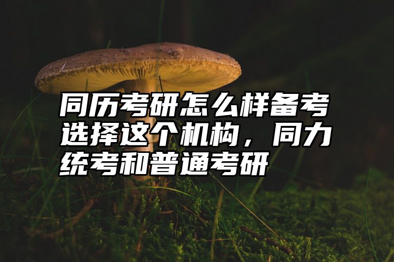 同历考研怎么样备考选择这个机构，同力统考和普通考研