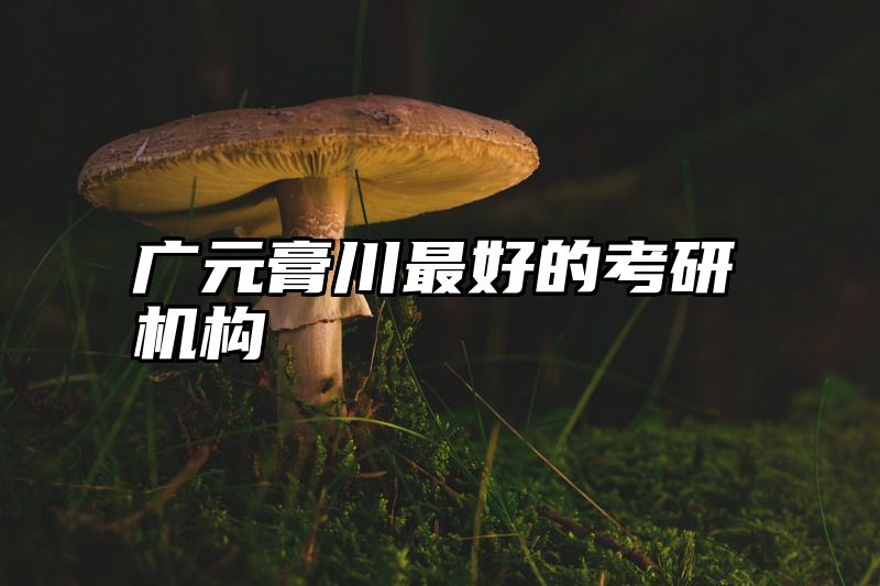 广元膏川最好的考研机构