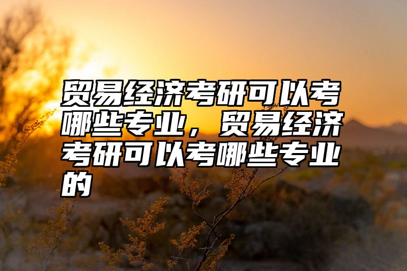 贸易经济考研可以考哪些专业，贸易经济考研可以考哪些专业的