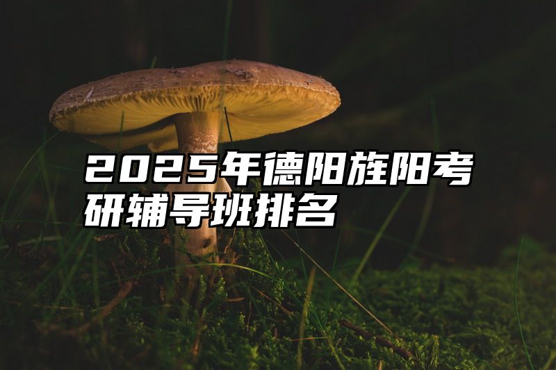 2025年德阳旌阳考研辅导班排名