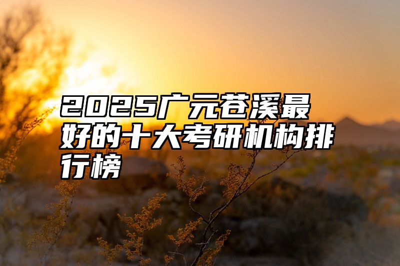 2025广元苍溪最好的十大考研机构排行榜