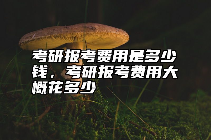 考研报考费用是多少钱，考研报考费用大概花多少