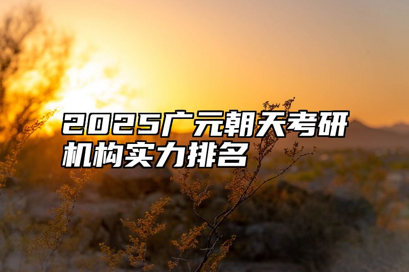 2025广元朝天考研机构实力排名