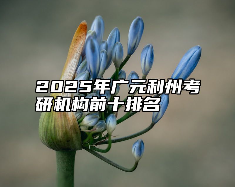 2025年广元利州考研机构前十排名