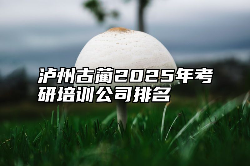点击查看《泸州古蔺2025年考研培训公司排名》全文