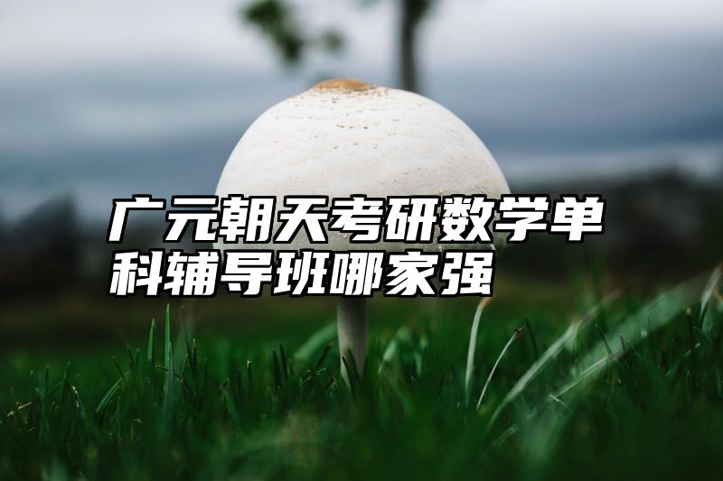 点击查看《广元朝天考研数学单科辅导班哪家强》全文