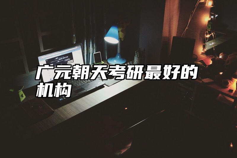 广元朝天考研最好的机构