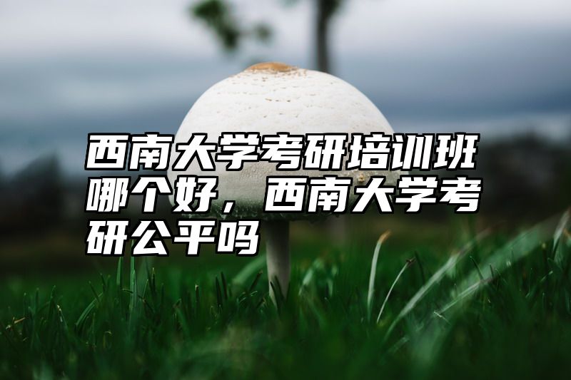西南大学考研培训班哪个好，西南大学考研公平吗