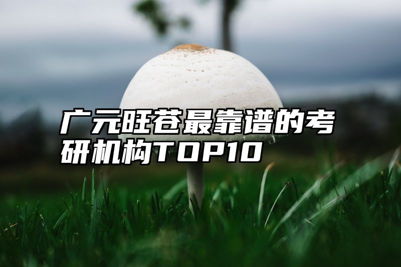 点击查看《广元旺苍最靠谱的考研机构TOP10》全文