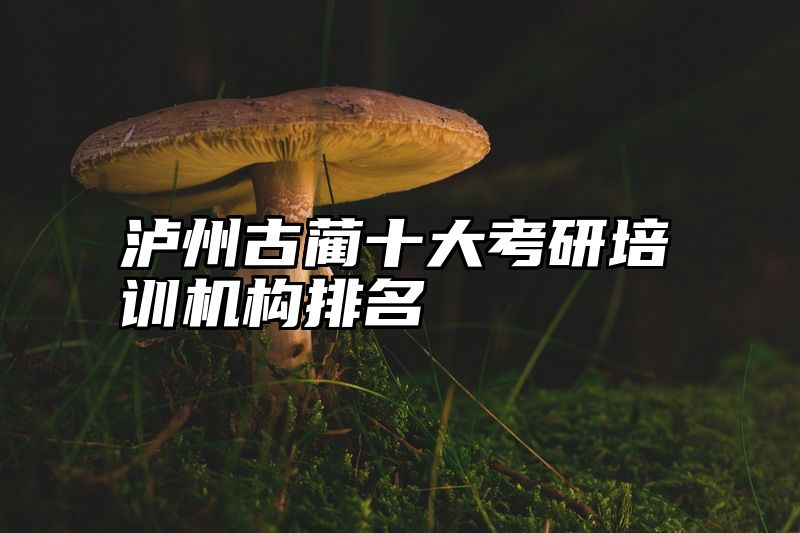 点击查看《泸州古蔺十大考研培训机构排名》全文