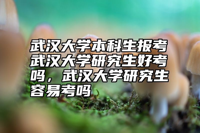 武汉大学本科生报考武汉大学研究生好考吗，武汉大学研究生容易考吗