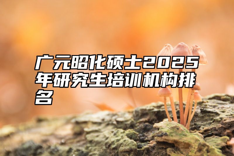 广元昭化硕士2025年研究生培训机构排名