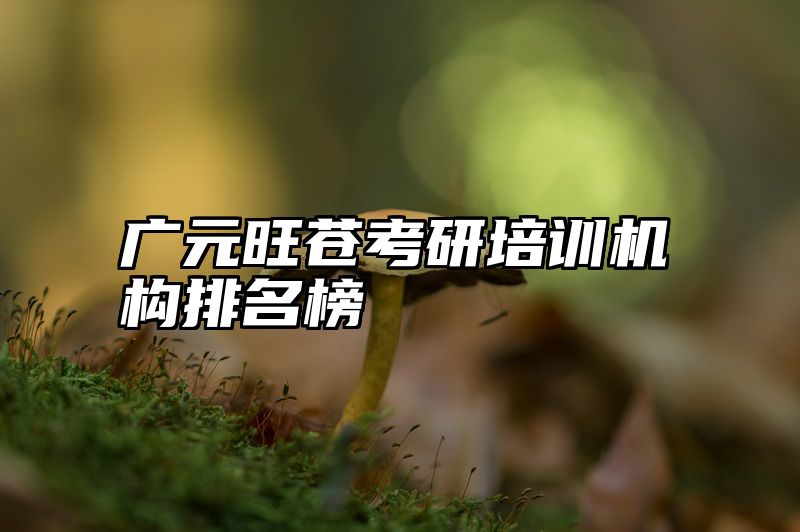 广元旺苍考研培训机构排名榜