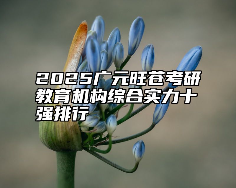 2025广元旺苍考研教育机构综合实力十强排行