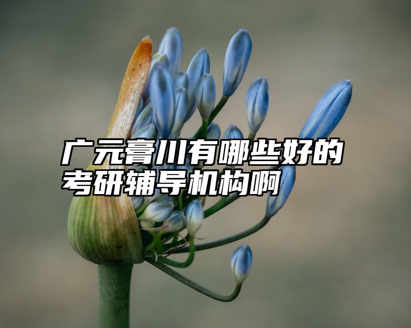 广元膏川有哪些好的考研辅导机构啊