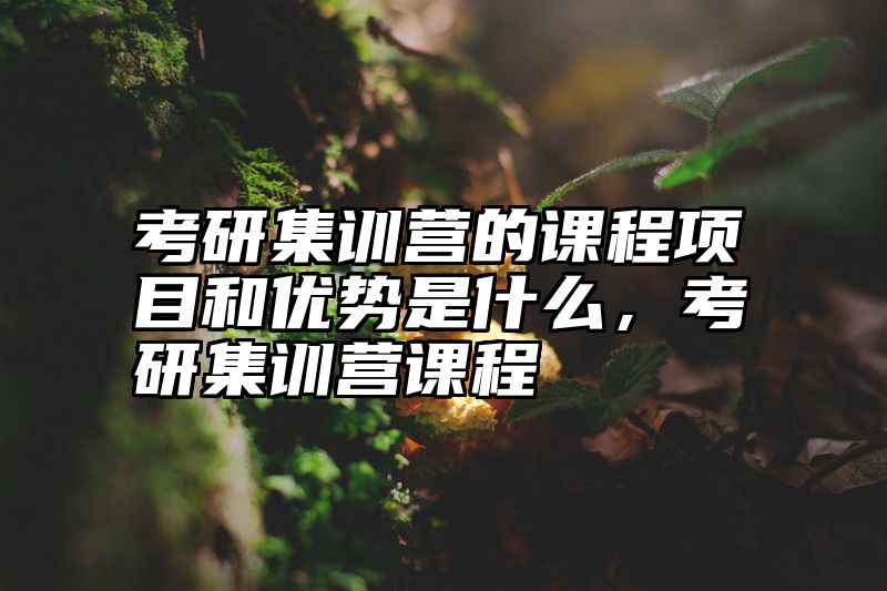 点击查看《考研集训营的课程项目和优势是什么,考研集训营课程》全文