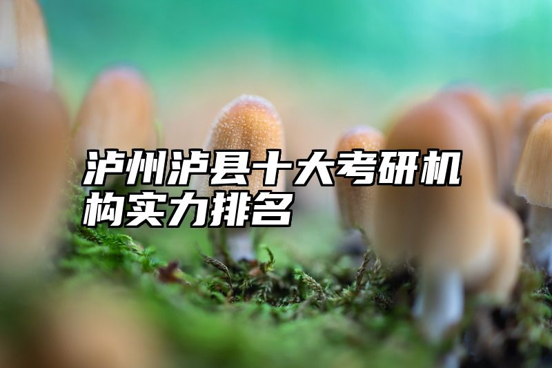 泸州泸县十大考研机构实力排名