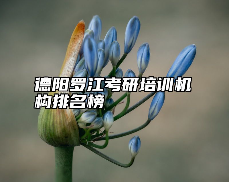 德阳罗江考研培训机构排名榜