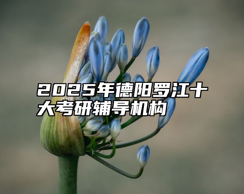 2025年德阳罗江十大考研辅导机构