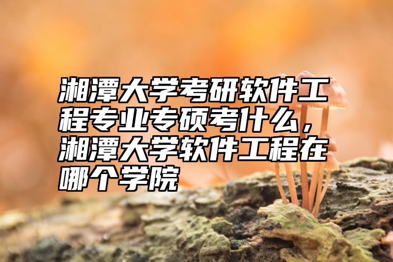 点击查看《湘潭大学考研软件工程专业专硕考什么，湘潭大学软件工程在哪个学院》全文