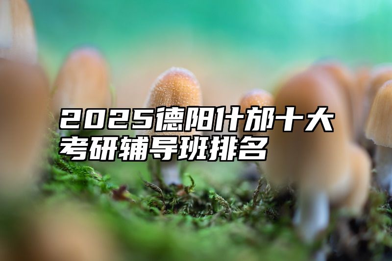 2025德阳什邡十大考研辅导班排名