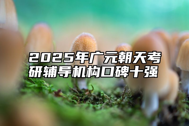 2025年广元朝天考研辅导机构口碑十强