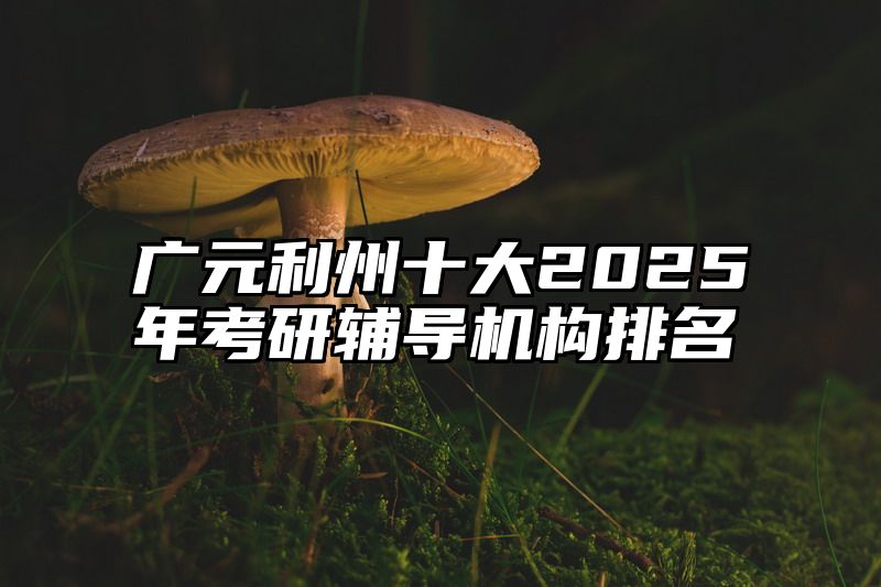 广元利州十大2025年考研辅导机构排名