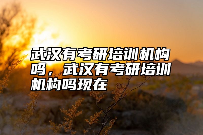 点击查看《武汉有考研培训机构吗，武汉有考研培训机构吗现在》全文