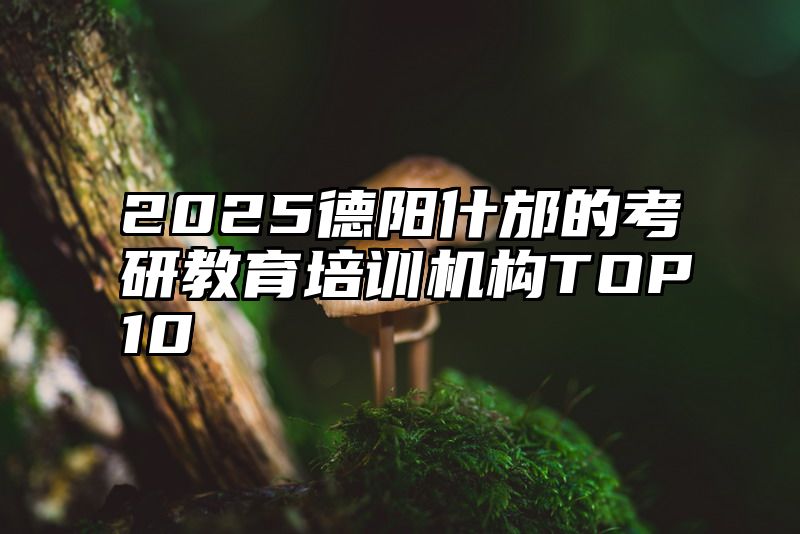 2025德阳什邡的考研教育培训机构TOP10