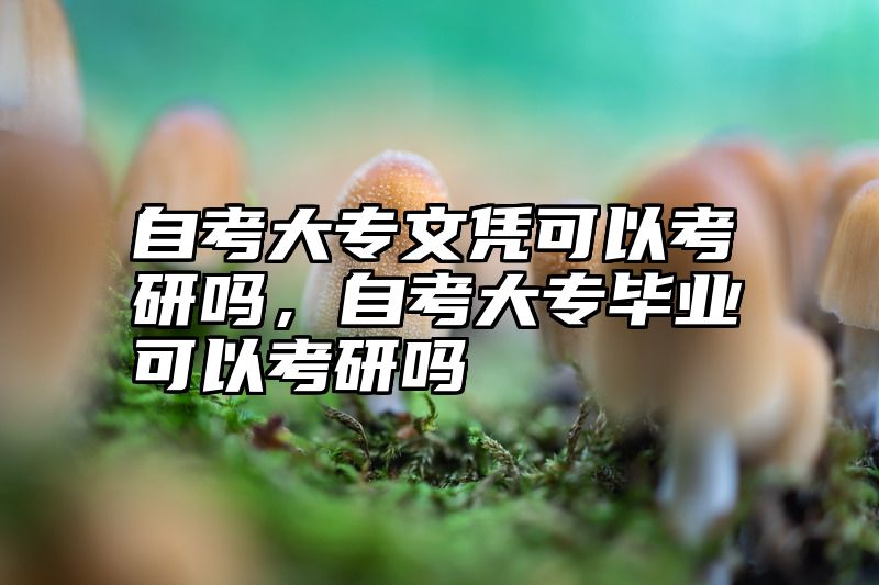 自考大专文凭可以考研吗，自考大专毕业可以考研吗