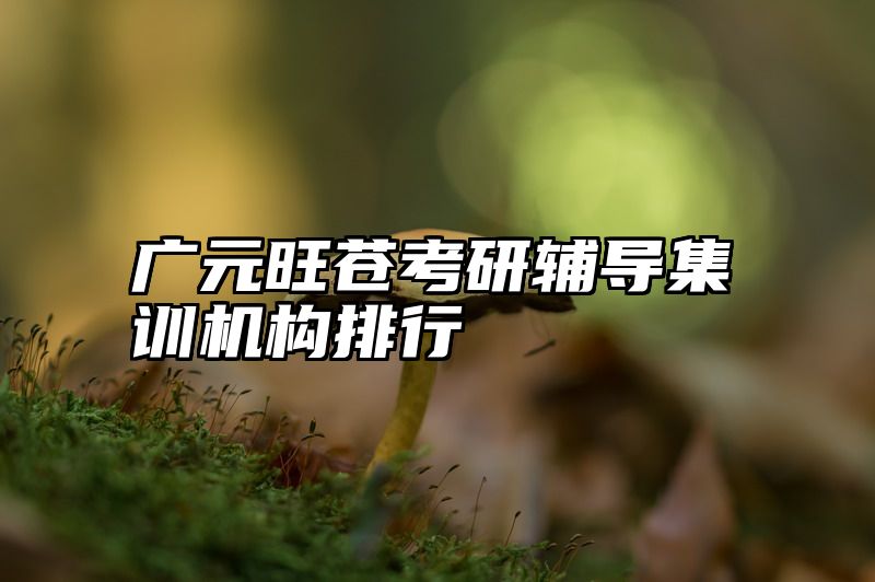 广元旺苍考研辅导集训机构排行