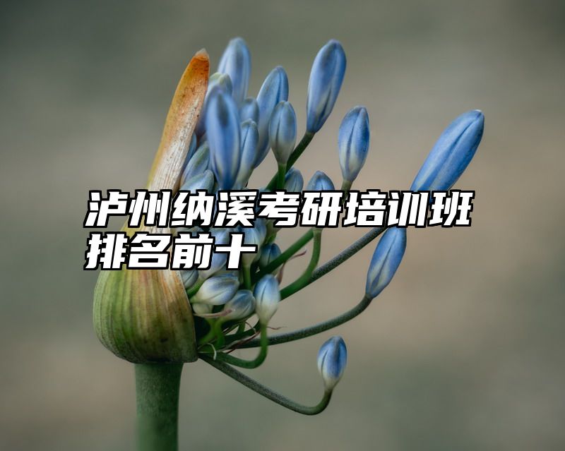 点击查看《泸州纳溪考研培训班排名前十》全文