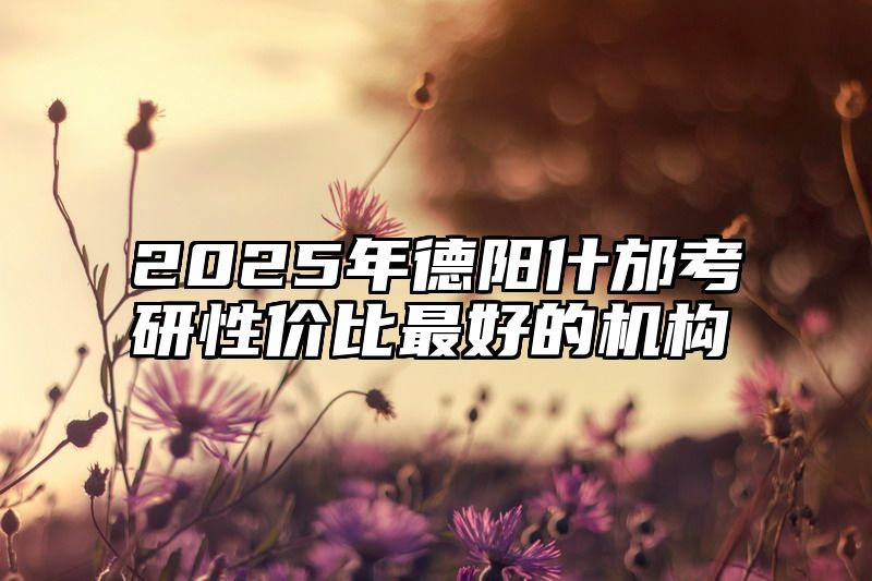2025年德阳什邡考研性价比最好的机构