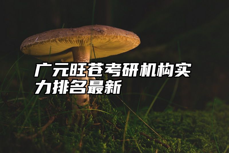 广元旺苍考研机构实力排名最新