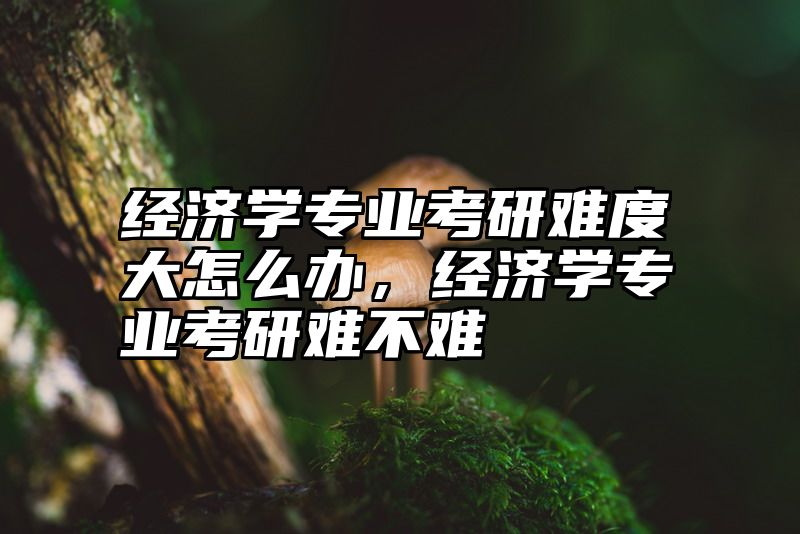 经济学专业考研难度大怎么办，经济学专业考研难不难