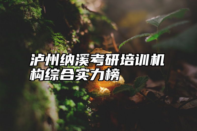 泸州纳溪考研培训机构综合实力榜