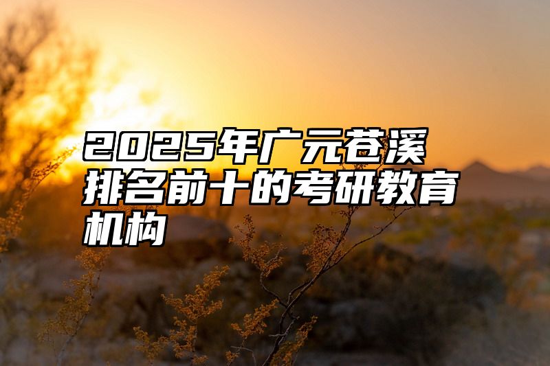2025年广元苍溪排名前十的考研教育机构