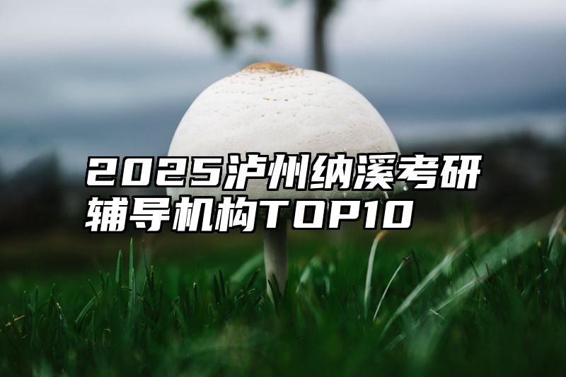 2025泸州纳溪考研辅导机构TOP10