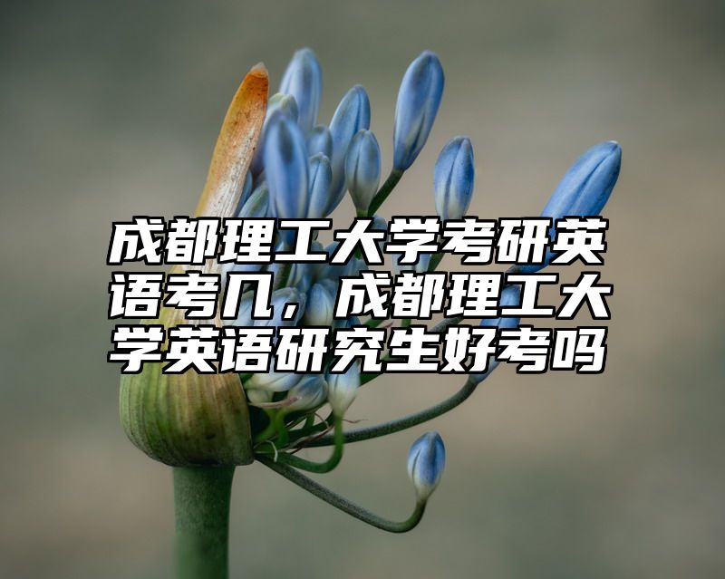 成都理工大学考研英语考几,成都理工大学英语研究生好考吗